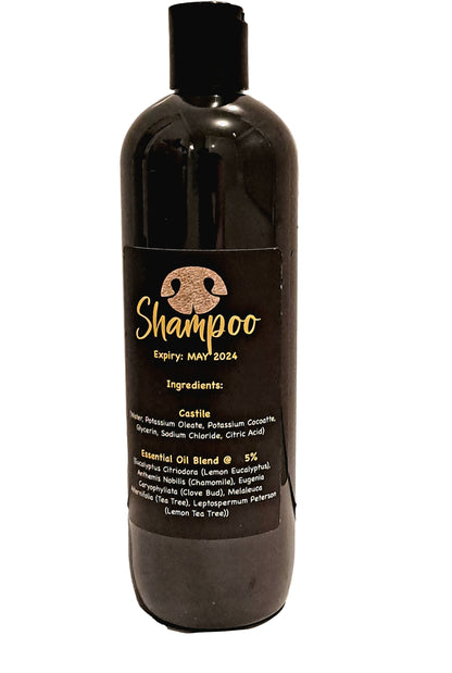 Shampoo