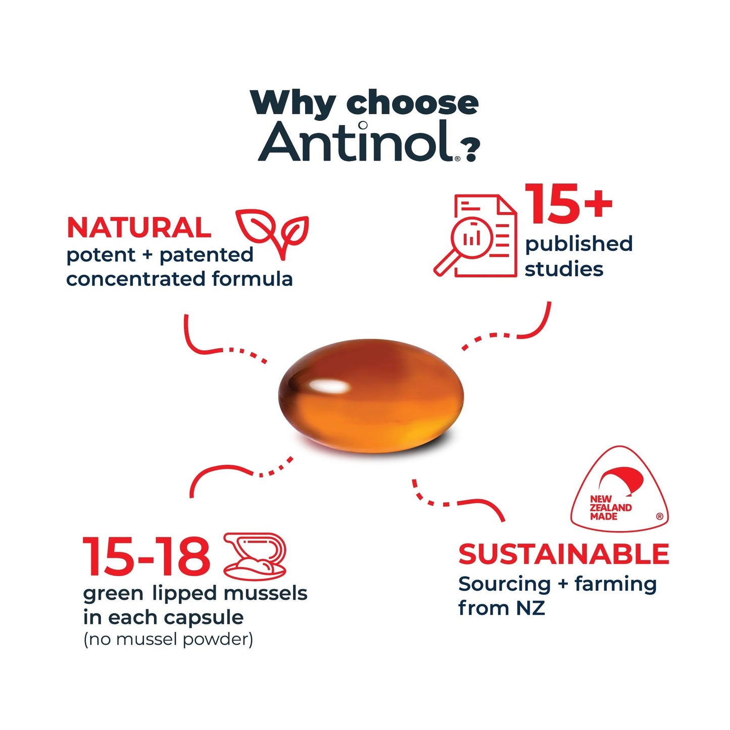 Antinol Rapid