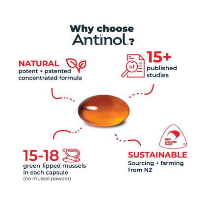 Antinol Rapid