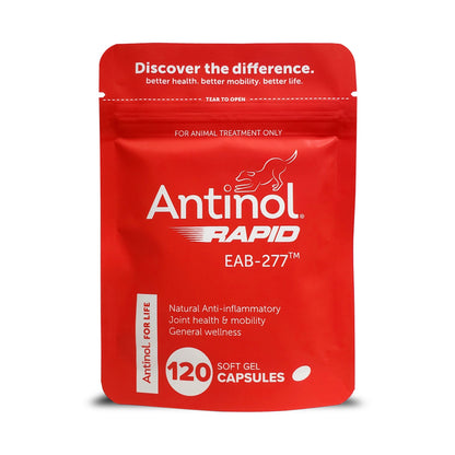 Antinol Rapid