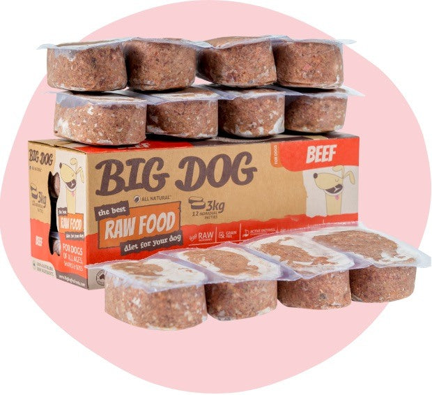 Big Dog Pet Foods