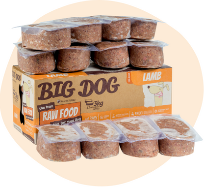 Big Dog Pet Foods