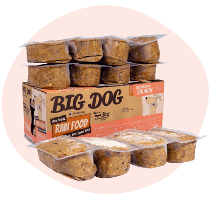 Big Dog Pet Foods